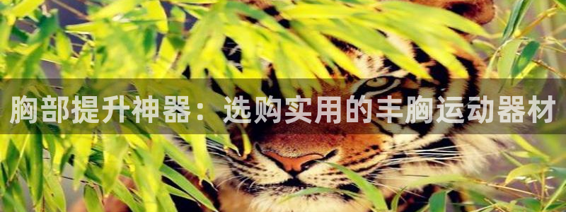 意昂4集团简介：胸部提升神器：选购实用的丰胸运动器材