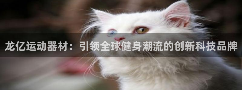 意昂体育4招商电话号码查询：龙亿运动器材：引领全球健