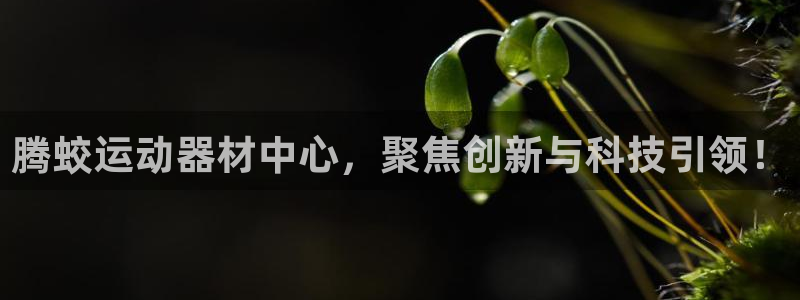 意昂4娱乐代理怎么样：腾蛟运动器材中心，聚焦创新与科