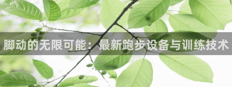 意昂体育4招商电话号码是多少：脚动的无限可能：最新跑