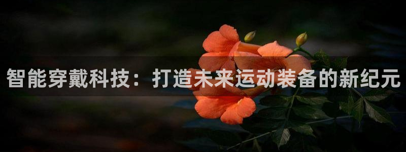 意昂4官网：智能穿戴科技：打造未来运动装备的新纪元