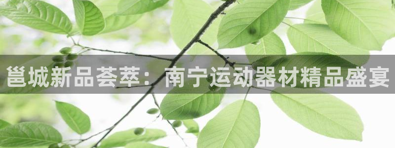 意昂4集团简介：邕城新品荟萃：南宁运动器材精品盛宴