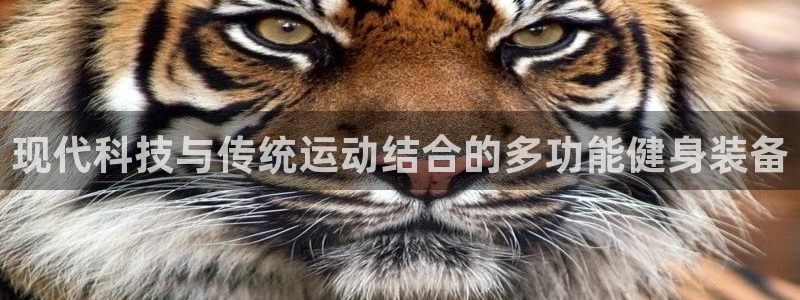 意昂体育4招商电话地址查询：现代科技与传统运动结合的