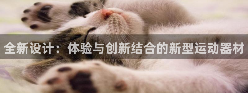 意昂体育4招商电话地址：全新设计：体验与创新结合的新