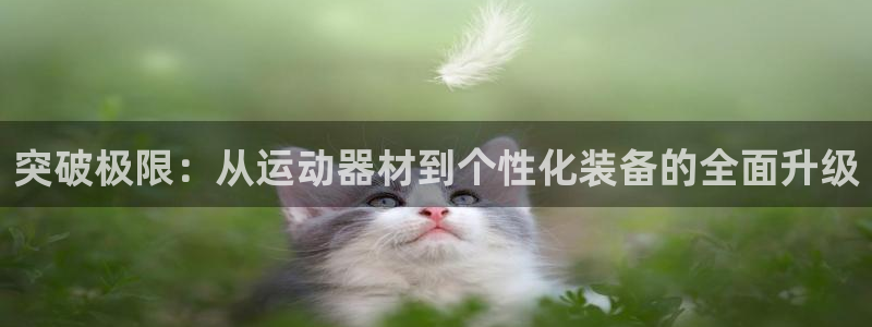意昂4集团：突破极限：从运动器材到个性化装备的全面升