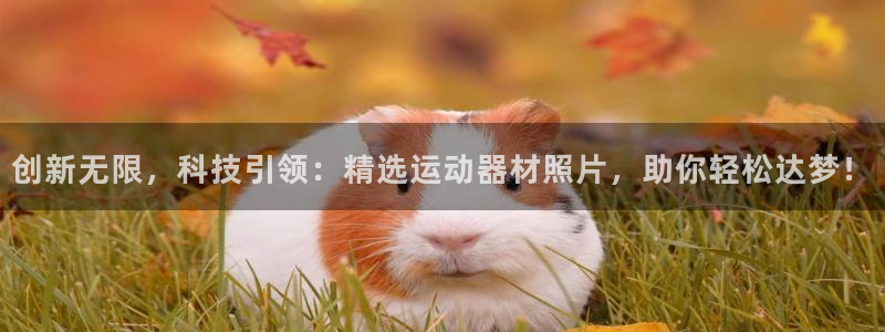 意昂体育4开户：创新无限，科技引领：精选运动器材照片