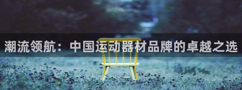 意昂4新能源：潮流领航：中国运动器材品牌的卓越之选