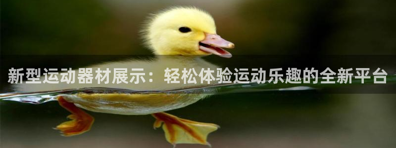 意昂体育4平台注册：新型运动器材展示：轻松体验运动乐