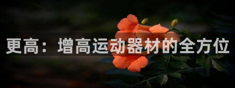 意昂体育4平台是正规平台吗