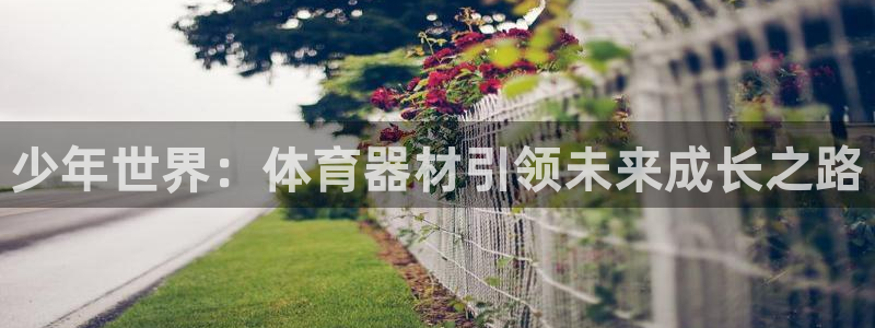 意昂体育4软件：少年世界：体育器材引领未来成长之路