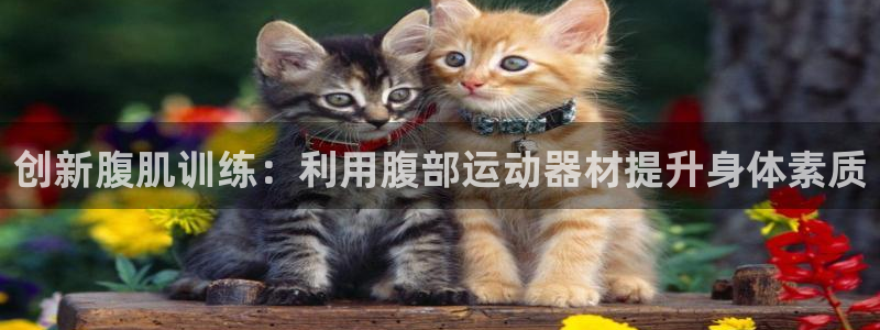 意昂体育4平台是正规平台吗安全吗：创新腹肌训练：利用腹部运动