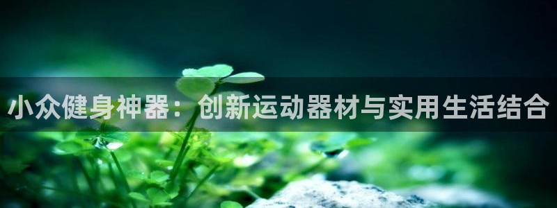 意昂体育4招商电话是多少：小众健身神器：创新运动器材