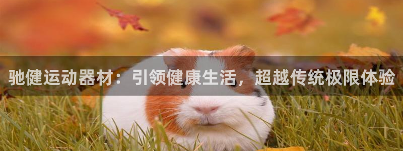 意昂体育4招商电话是多少啊：驰健运动器材：引领健康生活，超越