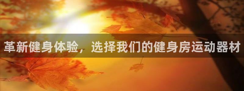 意昂4娱乐40996：革新健身体验，选择我们的健身房运动器材