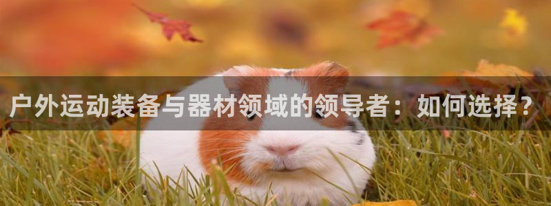 意昂4集团官网首页：户外运动装备与器材领域的领导者：如何选择