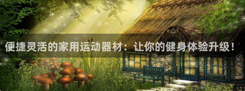 意昂4集团官网首页：便捷灵活的家用运动器材：让你的健身体验升