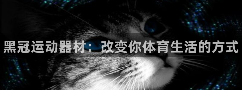 意昂4新能源：黑冠运动器材：改变你体育生活的方式