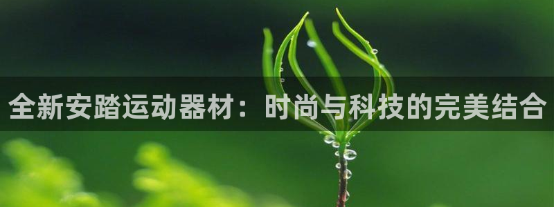 意昂体育4招商