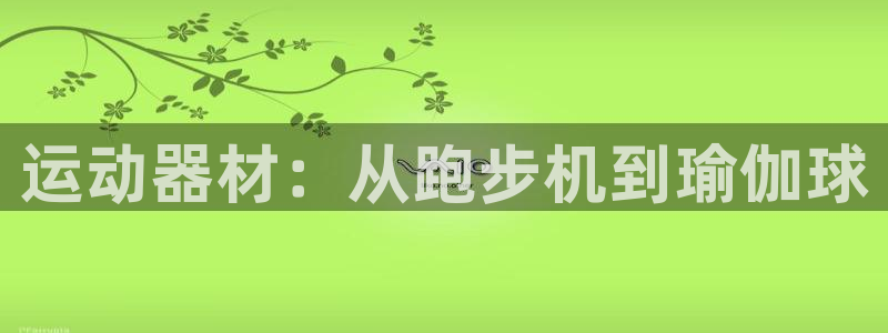 意昂体育4平台注册要钱吗安全吗：运动器材：从跑步机到
