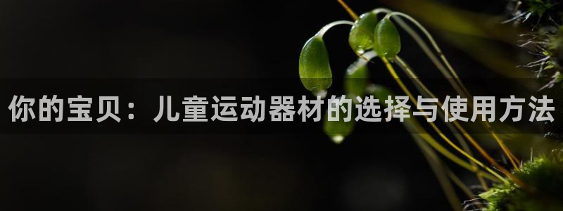 意昂体育4娱乐：你的宝贝：儿童运动器材的选择与使用方