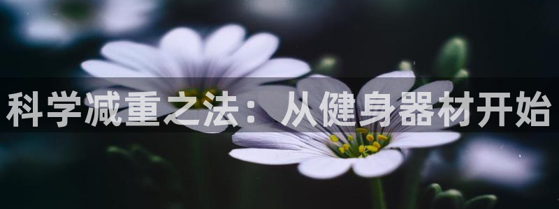 意昂4娱乐首页官网下载：科学减重之法：从健身器材开始