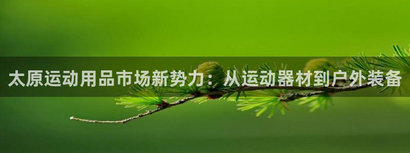 意昂体育4软件：太原运动用品市场新势力：从运动器材到