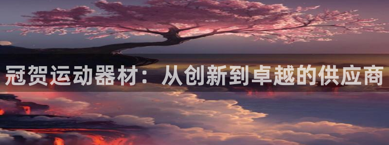 意昂4科技：冠贺运动器材：从创新到卓越的供应商
