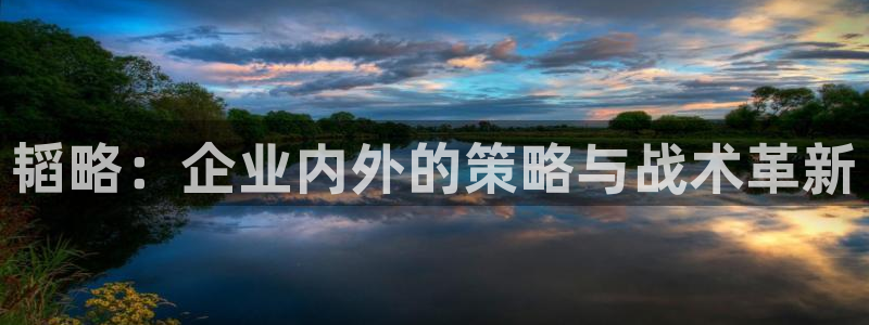 意昂体育4软件：韬略：企业内外的策略与战术革新