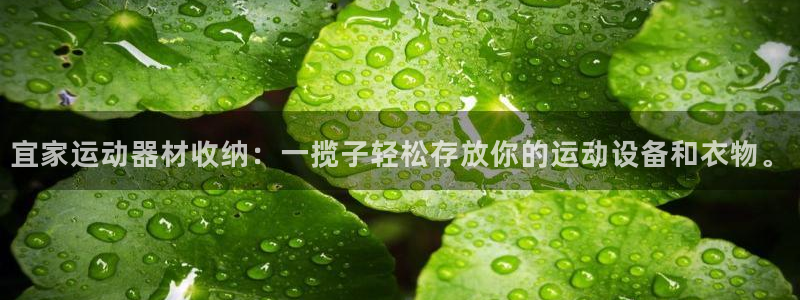 意昂4集团官网首页网址