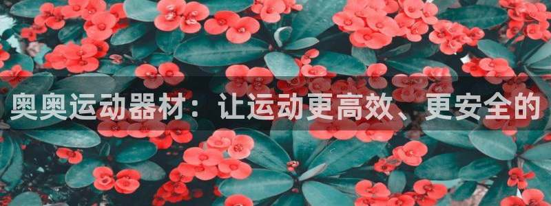 意昂体育4招商电话号码是多少啊：奥奥运动器材：让运动更高效、