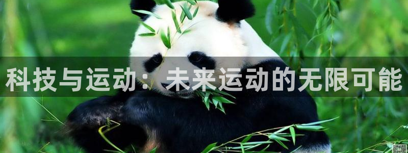 意昂4娱乐网站：科技与运动：未来运动的无限可能