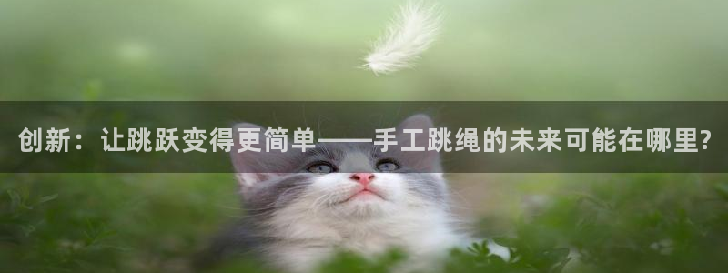 德国意昂4集团：创新：让跳跃变得更简单——手工跳绳的