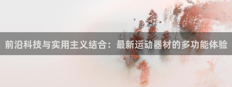 海南意昂体育4发展怎么样：前沿科技与实用主义结合：最