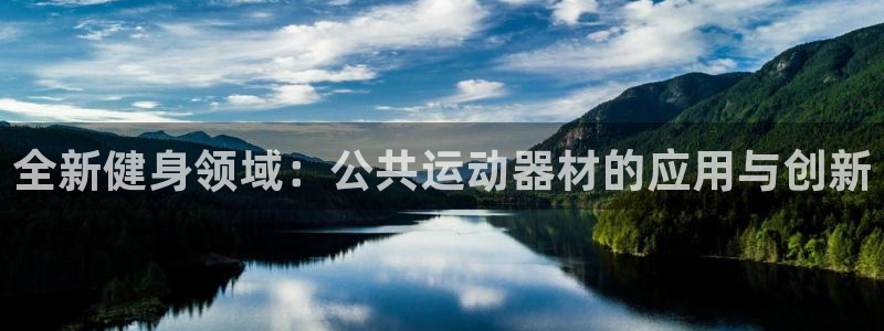 意昂体育4平台假的吗是真的吗吗：全新健身领域：公共运动器材的
