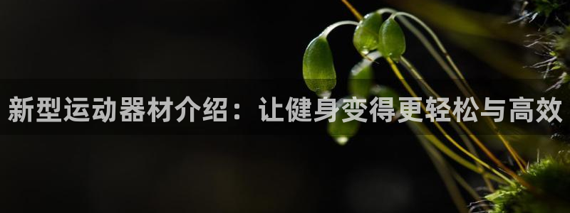 意昂4科技：新型运动器材介绍：让健身变得更轻松与高效