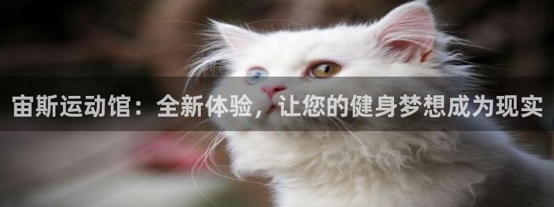 意昂4集团官网首页网址：宙斯运动馆：全新体验，让您的健身梦想