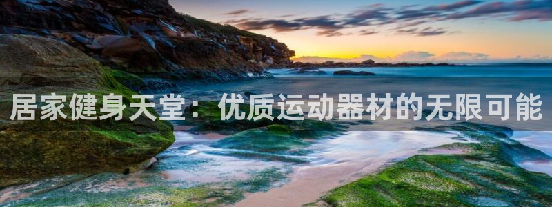 意昂4集团logo：居家健身天堂：优质运动器材的无限可能