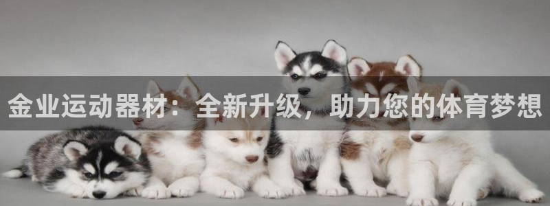 意昂4开户：金业运动器材：全新升级，助力您的体育梦想