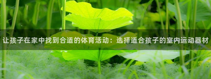 海南意昂体育4：让孩子在家中找到合适的体育活动：选择