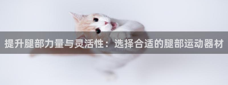意昂体育4是干嘛的公司：提升腿部力量与灵活性：选择合