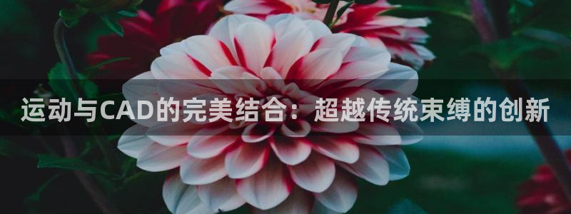 意昂体育4平台是正规平台吗知乎：运动与CAD的完美结