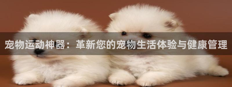 意昂体育4招商电话地址查询：宠物运动神器：革新您的宠物生活体