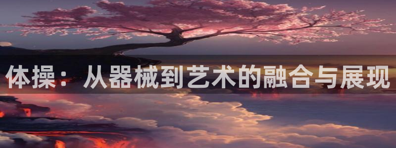 意昂体育4平台是正规平台吗：体操：从器械到艺术的融合