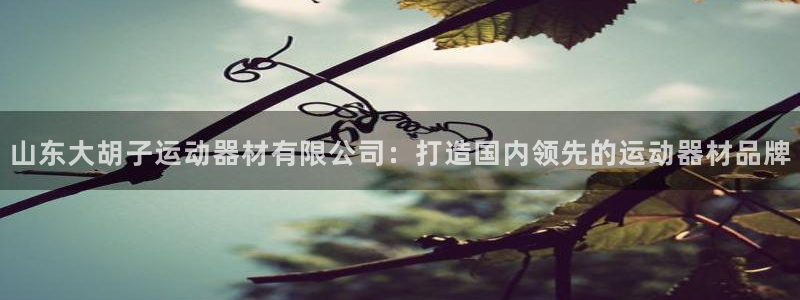 意昂4开户：山东大胡子运动器材有限公司：打造国内领先