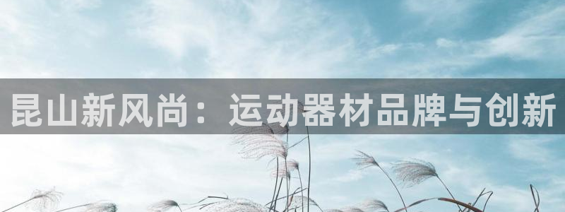 意昂4娱乐是那个系列的台子：昆山新风尚：运动器材品牌