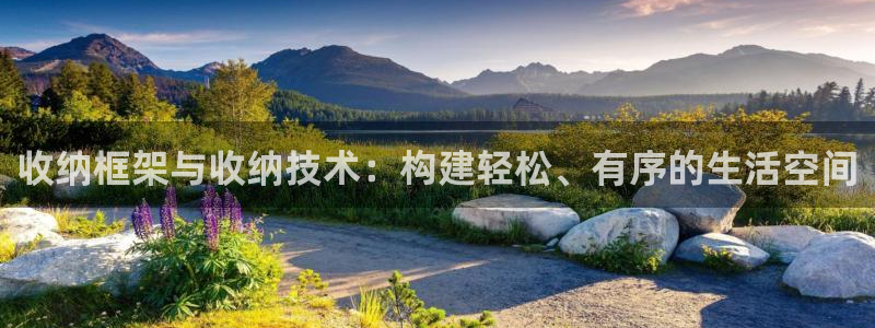 意昂4新能源：收纳框架与收纳技术：构建轻松、有序的生