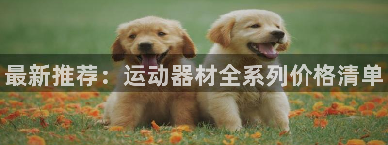 意昂体育4平台假的吗是真的吗：最新推荐：运动器材全系列价格清