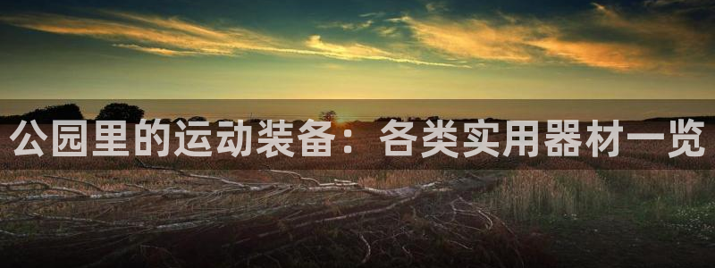 意昂体育4平台注册流程视频：公园里的运动装备：各类实