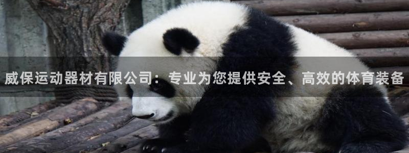 意昂4集团简介：威保运动器材有限公司：专业为您提供安全、高效