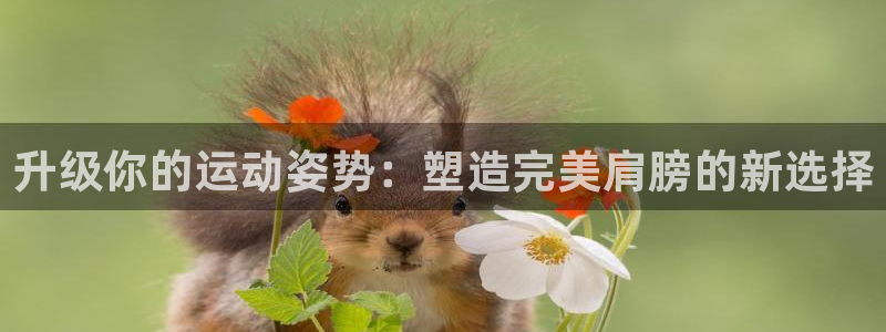 意昂4新能源：升级你的运动姿势：塑造完美肩膀的新选择